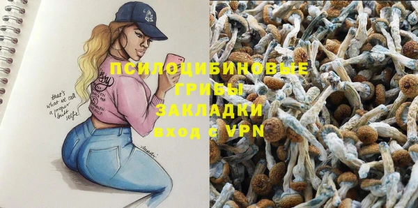винт Алексин