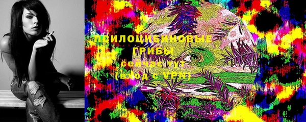 ECSTASY Алзамай