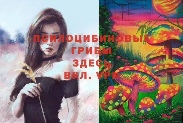 индика Алексеевка