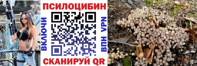 наркотики  Лодейное Поле  Галлюциногенные грибы мухоморы 